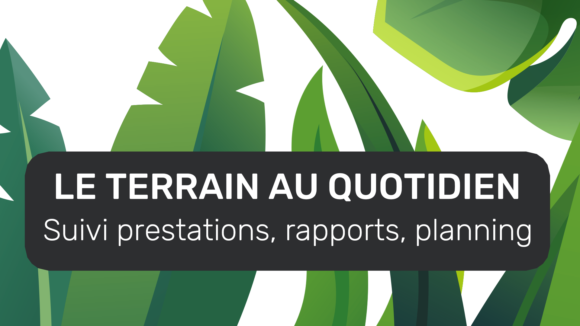 Le terrain au quotidien
