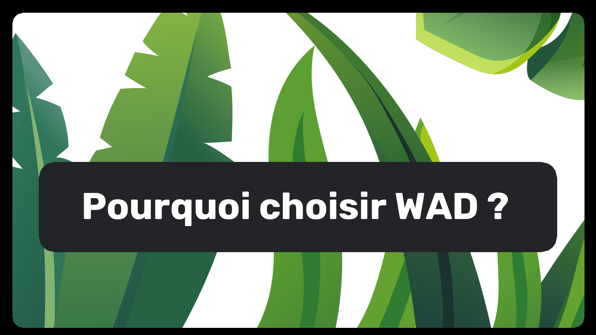 Slide 06 - Pourquoi WAD ?